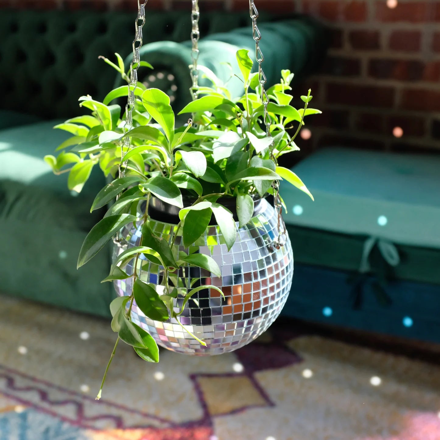 DiscoBloom Planter