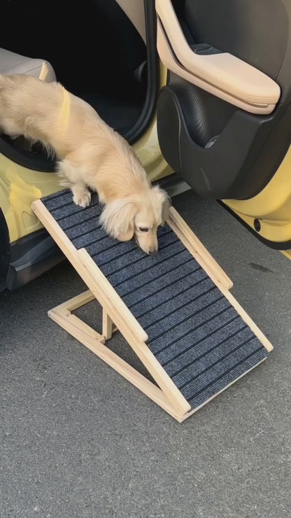 SureStep Pet Ramp